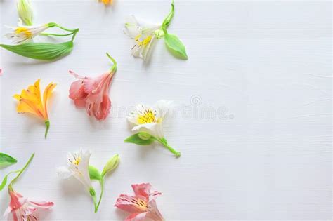 Cap Tulo Para La Tarjeta De Felicitaci N Con Las Flores Bandera Con Las