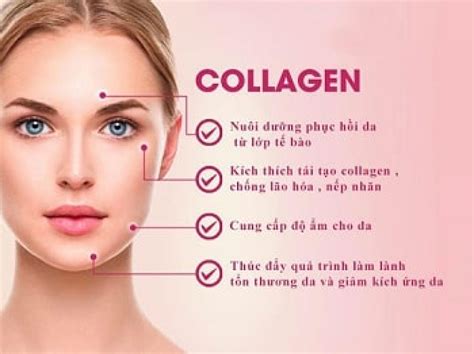 Top 6 Collagen Mỹ loại nào tốt nhất hiện nay được tin dùng