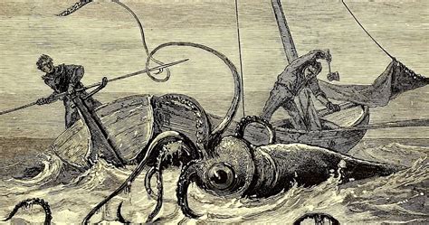 elusive  terrifying beauty  giant squids