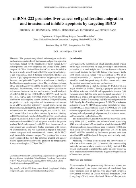 Pdf Mirna 222 Promotes Liver Cancer Cell Proliferation Migration And