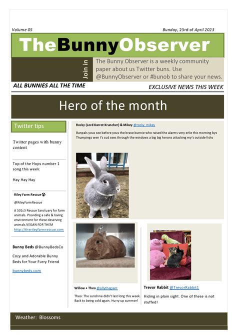 Archive Review: Page 4 of The Observer, December 5, 1954 19