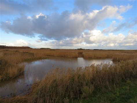 RSPB Minsmere Saxmundham Suffolk