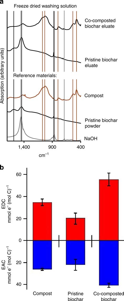 Ex Situ Analysis Of The Organic Coating Extracted From The Biochar With