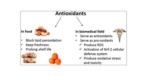 Antioxidants Differing Meanings In Food Science And Health Science