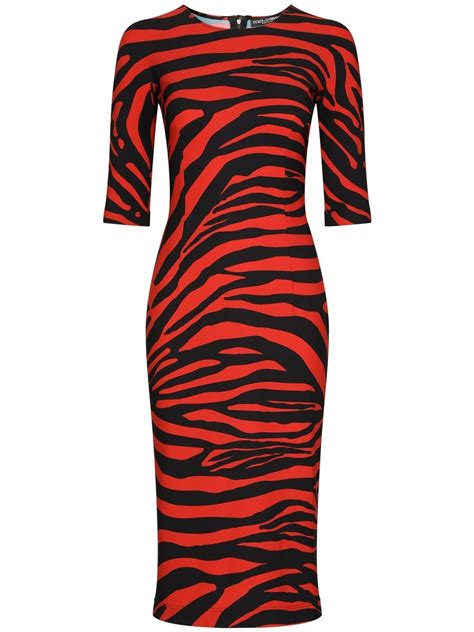 Dolce Gabbana Zebra Printed Midi Dress In Black Modesens