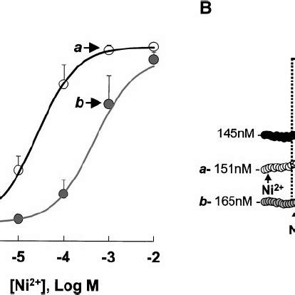 Ni Inhibits Ca I Responses To Zp Ni Was Added Either