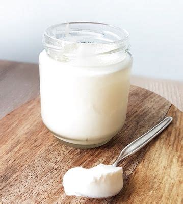 Selbstgemachter Joghurt Laktosefreien Joghurt Selbermachen Diy