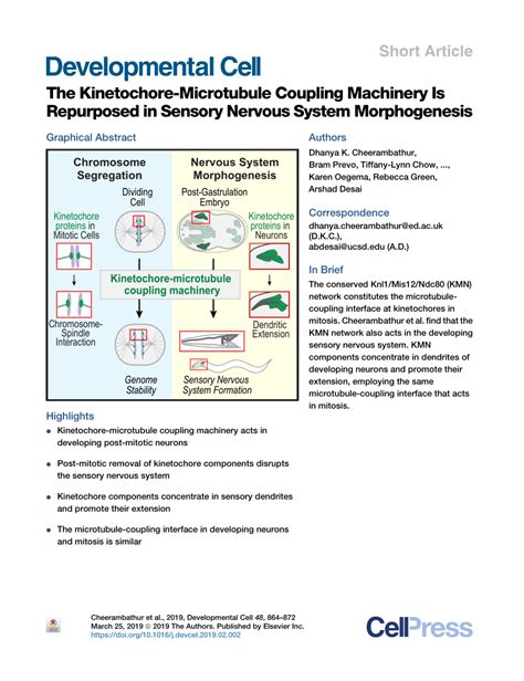 Pdf The Kinetochore Microtubule Coupling Machinery Is Repurposed In