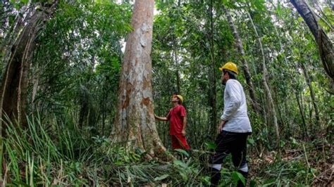 Projeto Rondônia Sustentável apresenta estratégias para conservação e