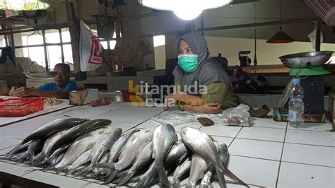 Imbas Cuaca Buruk Harga Ikan Naik KITAMUDAMEDIA