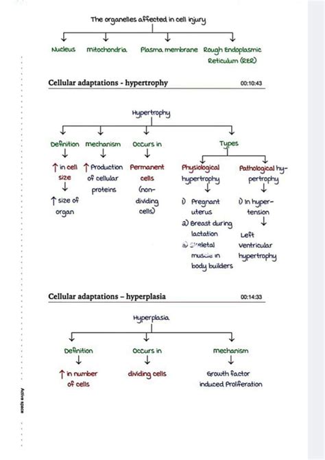 Solution Cell Injury And Adaptations Part Studypool