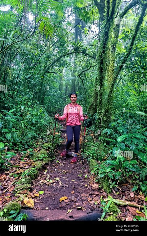 Trekking En La Selva En La Reserva Del Volcán Mombacho Granada