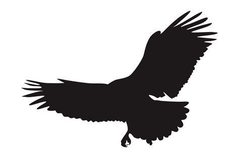 Animal - Flying Eagle Silhouette 23258114 PNG