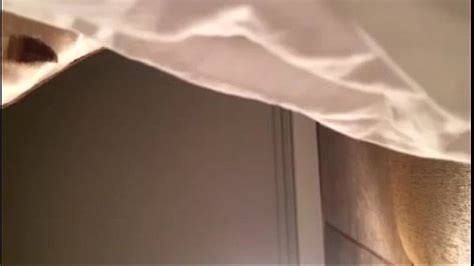 ナナナナミ Search XVIDEOS