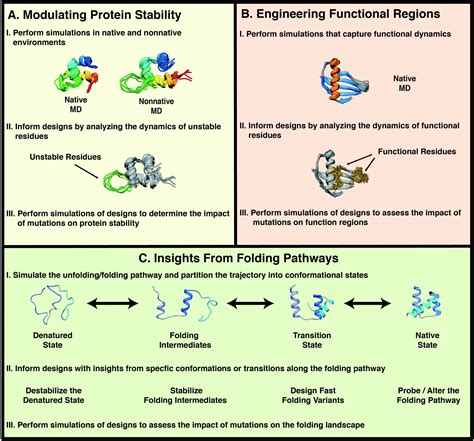 Insights From Molecular Dynamics Simulations For Computational Protein