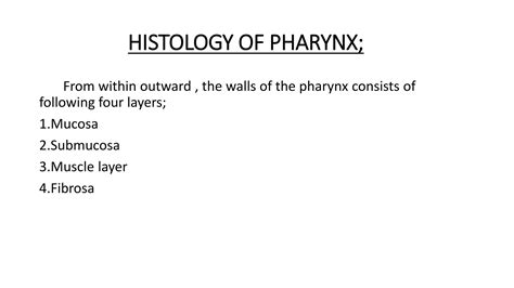 Histology of pharynx & larynx | PPT | Free Download