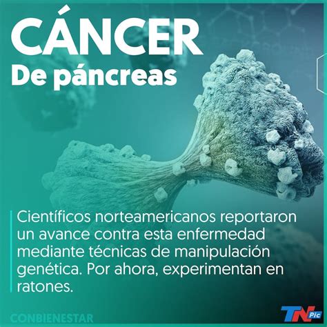 Científicos Norteamericanos Reportan Un Avance Contra El Cáncer De