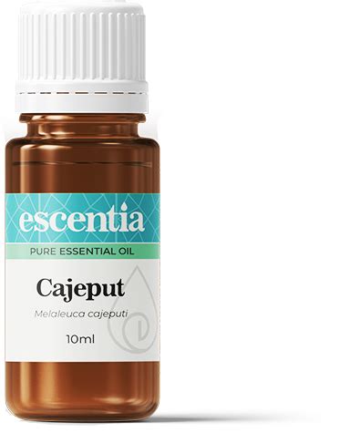 Cajeput Essential Oil Ml Escentia Products