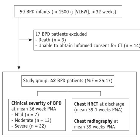 Flow diagram of 42 BPD patients enrolled in this prospective study. BPD... | Download Scientific ...