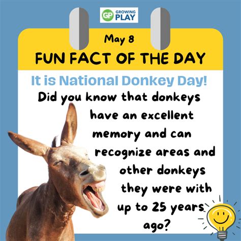 May 8 - Donkey Facts for Kids - Growing Play