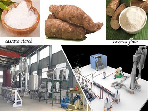 How To Make Cassava Starch And Where To Buy Cassava Starch Processing