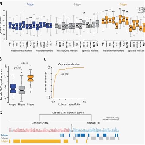 Prognostic Value Of Molecular Subtypes In Stages Ii And Iii