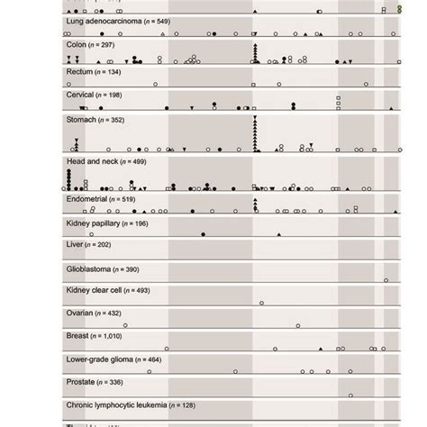 Distribution Of Hla Mutations Across Cancers And Across Functional Download Scientific Diagram