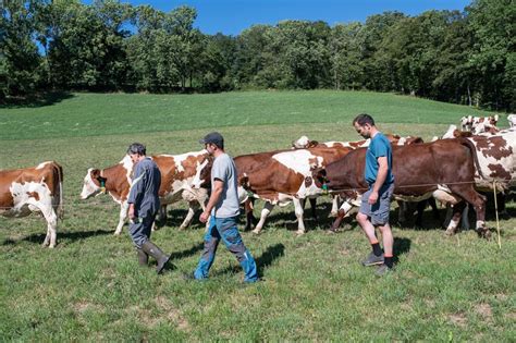 Photo Du Film La Ferme Des Bertrand Photo Sur Allocin