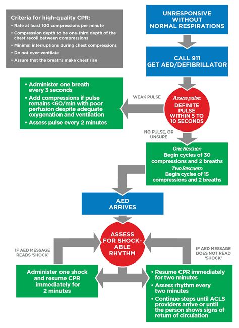 Pediatric Basic Life Support Bls Algorithm Guide Pals Algorithm