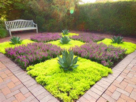 Garden With Drought Tolerant Creeping Sedum Stonecrop | Sedum garden, Plants, Succulents garden