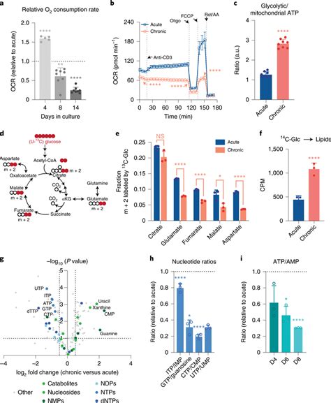 Chronic Antigen Stimulation Induces Mitochondrial Dysfunction And