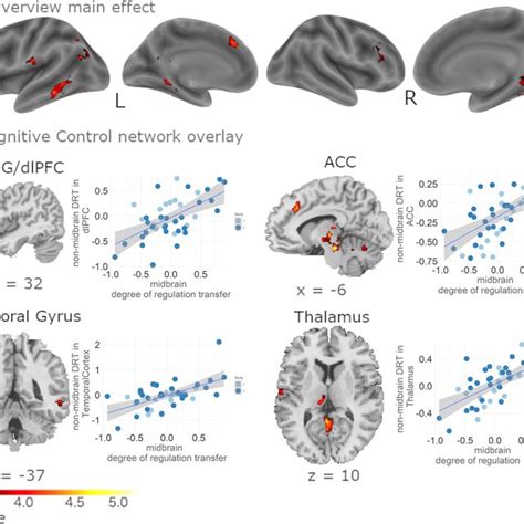 Dlpfc And Sn Vta Functional Connectivity Correlates With Transfer Download Scientific Diagram