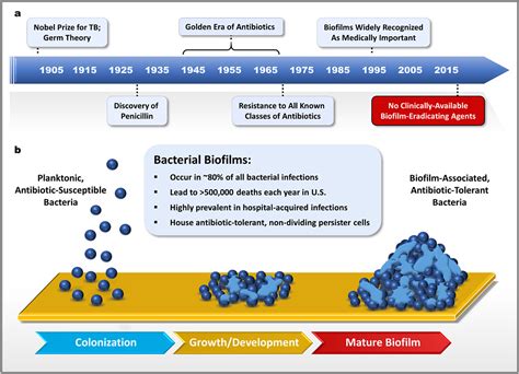 Discovery Of Antibacterial And Biofilm Eradicating Agents College Of