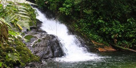 Praia De Camburi E Camburizinho Guia Completo Naturam