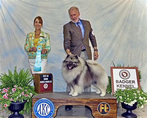 Badger Kennel Club NOHS Sunday June 2 2024 Canine Chronicle