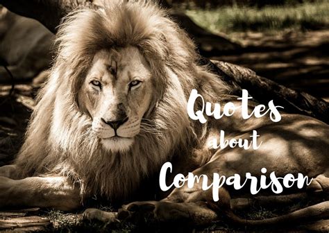 75 Best Comparison Quotes Quotes Club