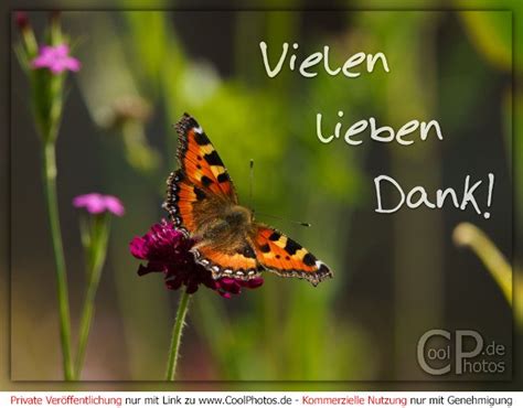 Coolphotos De Grußkarten Danke Vielen Lieben Dank