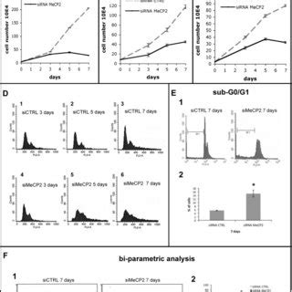 MeCP2 Ablation Causes A Defect In Cell Proliferation With A Delay In