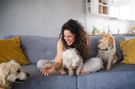 How To Become A Pet Sitter Artofit