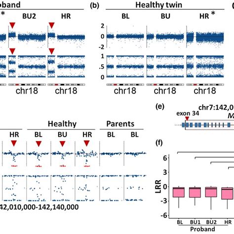 Genomewide Copy Number Analysis Using Illumina Global Screening Array