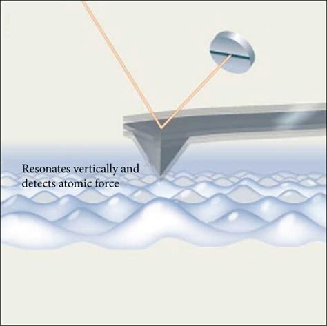 AFM working principles and modes: (a) generalized schematic of AFM of... | Download Scientific ...