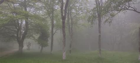 Urkiola Urkiola Con Niebla Y Lluvia Eitb Eus Flickr