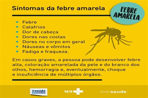 FEBRE AMARELA PARTE 2 SINTOMAS DIAGNÓSTICOS TRATAMENTO