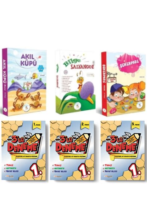 5 Renk Yayınları 1 Sınıf Hikaye Kitabı Seti 30 Kitap Akıl Küpü