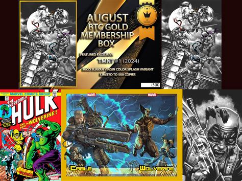 BTC GOLD MEMBERSHIP BOX