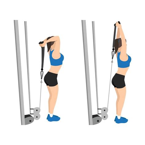 overhead cable extension overhead cable tricep extensions