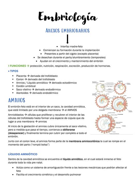 Solution Embrio Semana Anexos Embrionarios Studypool