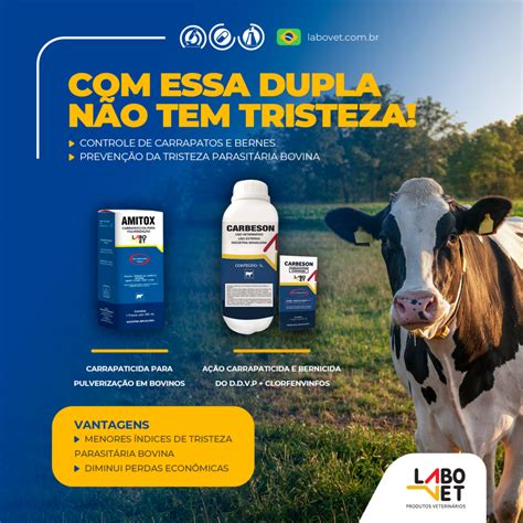 ENTENDA O CICLO DO CARRAPATO EM BOVINOS Labovet Produtos Veterinários