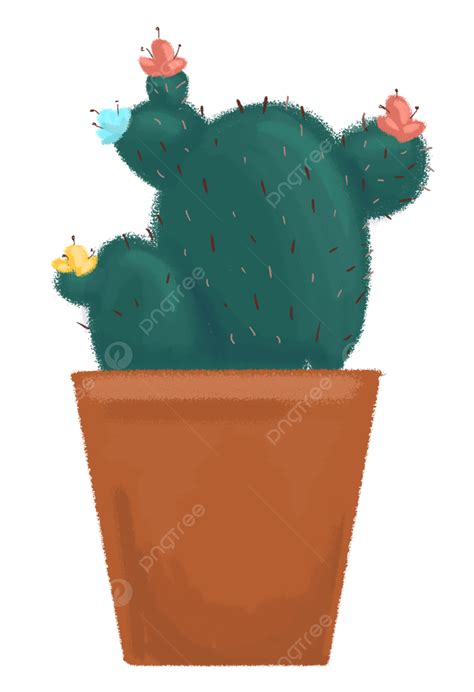 Maceta De Cactus PNG Cactus Planta Plantas En Macetas PNG Y PSD