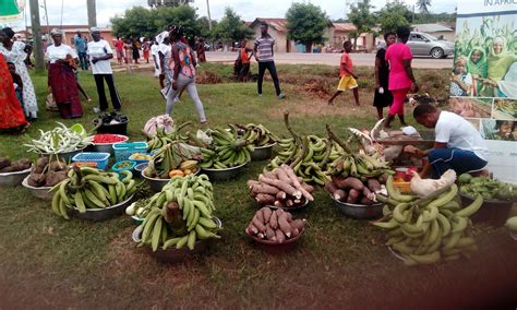 Gallery Farmers Organization Network In Ghana